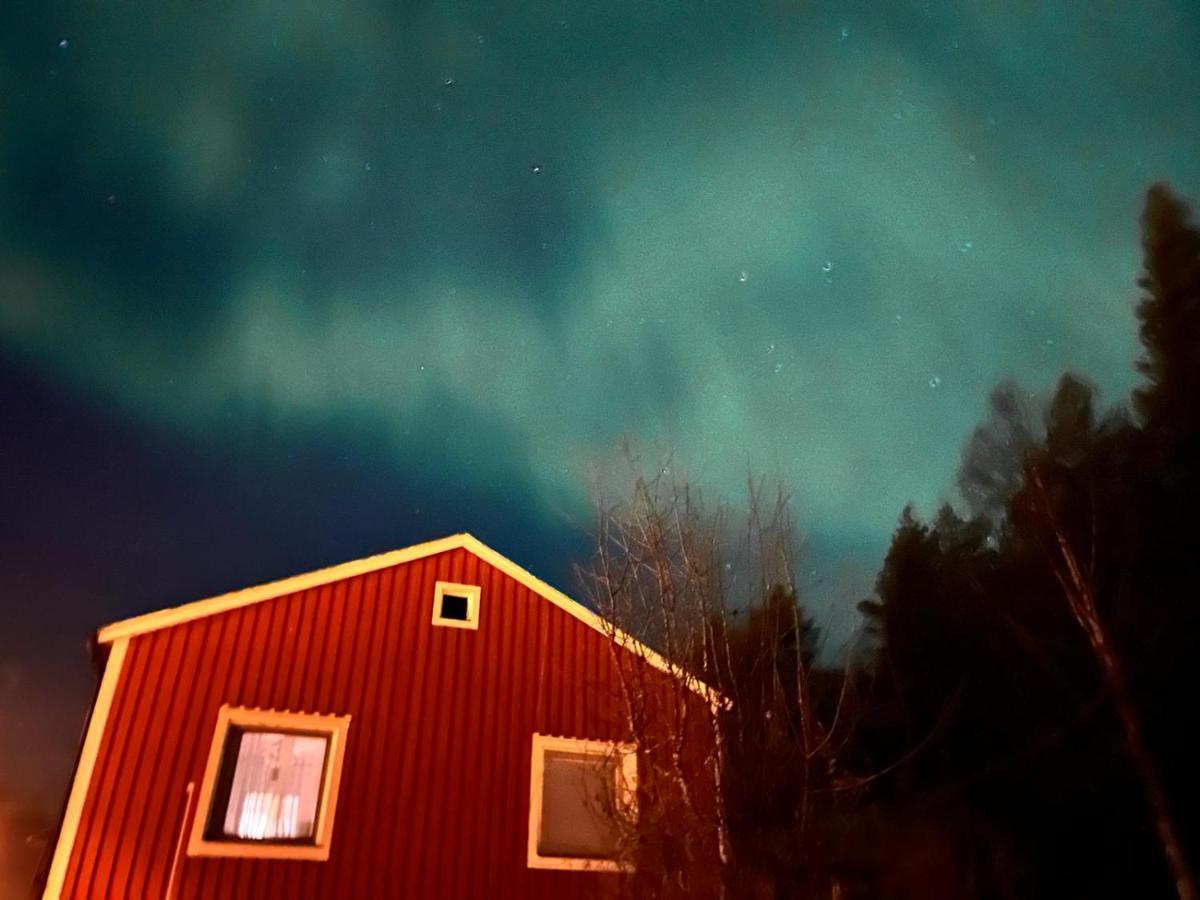 Authentic Cottage In Swedish Laplandリュックセレ エクステリア 写真