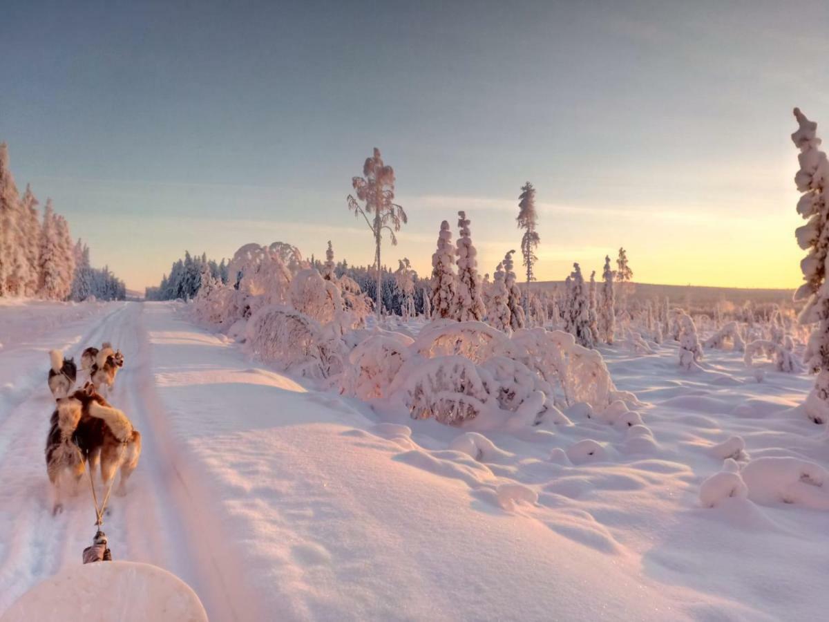 Authentic Cottage In Swedish Laplandリュックセレ エクステリア 写真