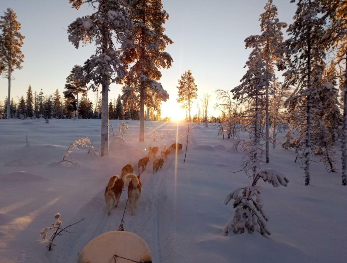 Authentic Cottage In Swedish Laplandリュックセレ エクステリア 写真