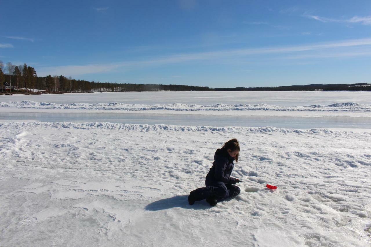 Authentic Cottage In Swedish Laplandリュックセレ エクステリア 写真